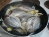 filipino-recipe-paksiw-na-isda8