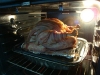 turkey-wrapped-with-bacon15.jpg