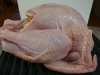 turkey-wrapped-with-bacon5.jpg